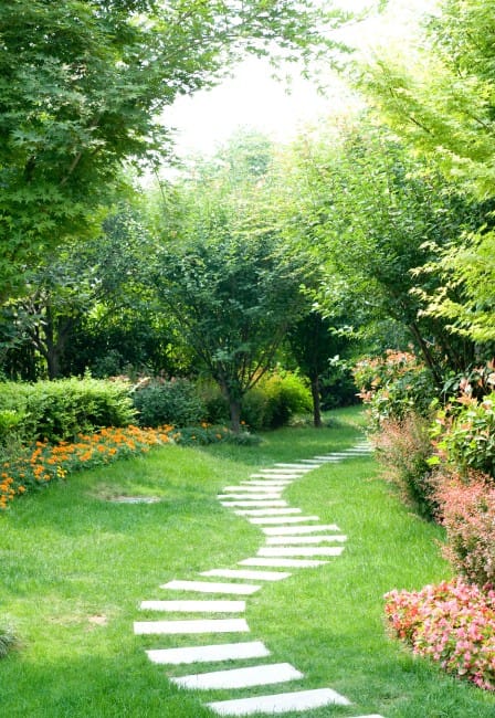 BESTE KEUZE tuin met pad Hoveniersbedrijf Borink