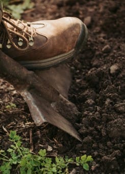 DIENST graafwerkzaamheden Hoveniersbedrijf Borink
