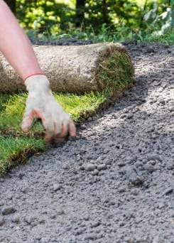 DIENST tuinaanleg Hoveniersbedrijf Borink